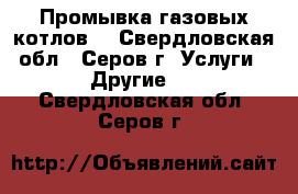 Промывка газовых котлов. - Свердловская обл., Серов г. Услуги » Другие   . Свердловская обл.,Серов г.